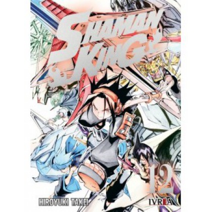 Shaman King Vol 12